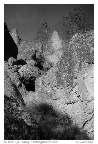 Looking up High Peaks rock spires. Pinnacles National Park (black and white)