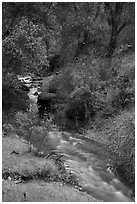 Bear Creek flowing. Pinnacles National Park ( black and white)