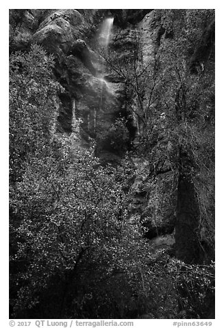 Cliff and Moses Spring. Pinnacles National Park (black and white)