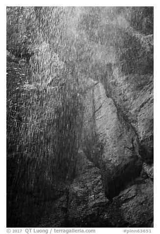 Water drops from Moses Spring. Pinnacles National Park (black and white)