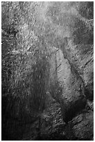 Water drops from Moses Spring. Pinnacles National Park ( black and white)