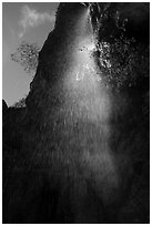 Moses Spring waterfall (fast). Pinnacles National Park ( black and white)