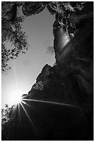 Sun and Moses Spring waterfall, looking up. Pinnacles National Park ( black and white)