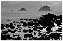 Rocks and sea stacks, blue hour, False Klamath Cove. Redwood National Park, California, USA. (black and white)