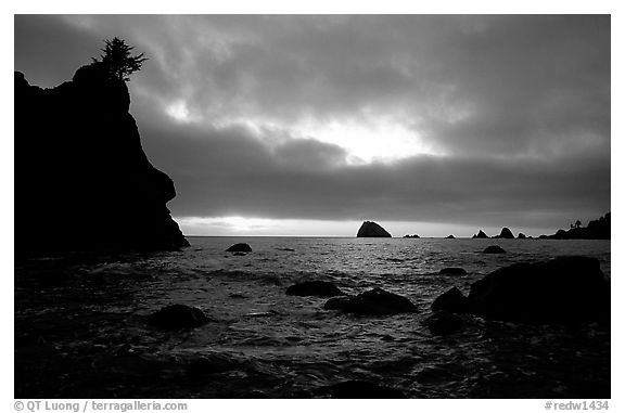 Seastacks and clouds, Hidden Beach, sunset. Redwood National Park (black and white)
