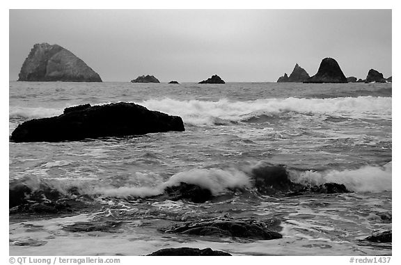 Seastacks and surf in foggy weather, Hidden Beach. Redwood National Park, California, USA.