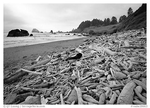 Driftwood, Hidden Beach. Redwood National Park (black and white)