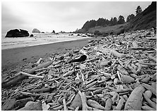 Driftwood, Hidden Beach. Redwood National Park, California, USA. (black and white)