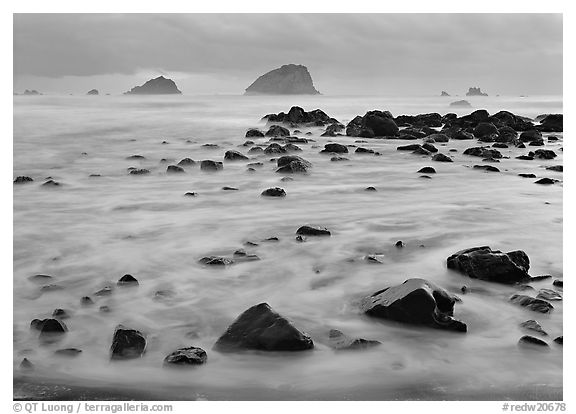 Wave motion over rocks in the purple light of dusk. Redwood National Park (black and white)