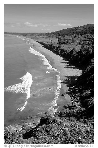 Crescent Beach from above. Redwood National Park (black and white)