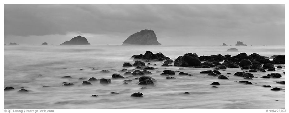 Rocks and seastacks at dusk. Redwood National Park (black and white)