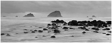 Rocks and seastacks at dusk. Olympic National Park (Panoramic black and white)