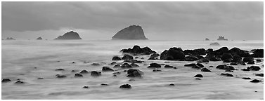 Rocks and seastacks at dusk. Redwood National Park (Panoramic black and white)