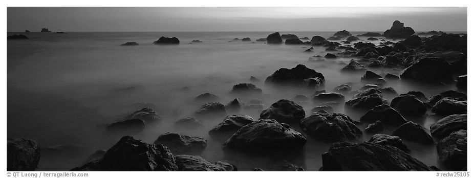 Ethereal ocean motion at dusk. Redwood National Park (black and white)