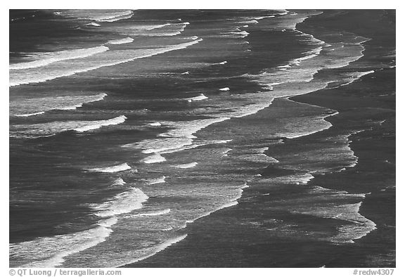 Surf on Crescent Beach, seen from above. Redwood National Park (black and white)