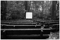 Amphitheater, Jedediah Smith Redwoods State Park. Redwood National Park ( black and white)