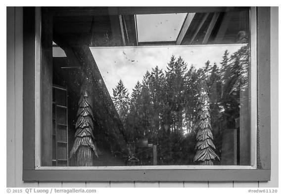 Redwood forest, Hiouchi Information center window reflexion. Redwood National Park (black and white)