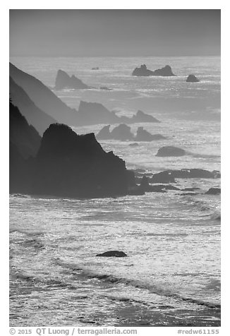 Ragged coastline near Enderts Beach. Redwood National Park (black and white)