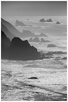 Ragged coastline near Enderts Beach. Redwood National Park ( black and white)