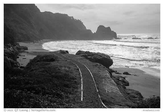 Trail and Enderts Beach. Redwood National Park (black and white)