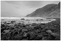 Enderts Beach. Redwood National Park ( black and white)