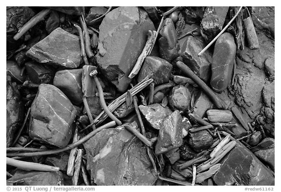 Close-up of driftwood, kelp, and rocks, Enderts Beach. Redwood National Park (black and white)