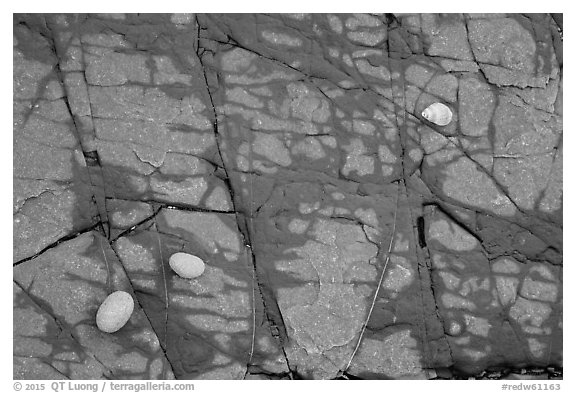 Close-up of rock slab with pebbles and shell, Enderts Beach. Redwood National Park (black and white)