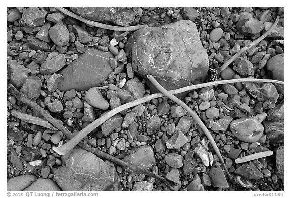 Close-up of rocky beach. Redwood National Park (black and white)