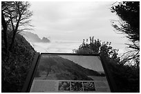 Coastline and Sturdy survivors interpretive sign. Redwood National Park ( black and white)