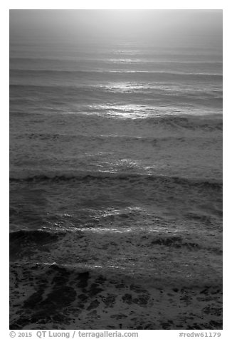 Waves lit by setting sun from above. Redwood National Park (black and white)
