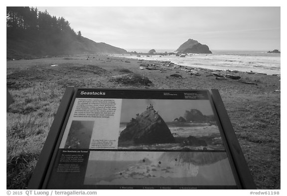 False Klamath Cover, Seastacks interpretive sign. Redwood National Park (black and white)