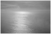 Ocean with sun reflection and fog. Redwood National Park ( black and white)