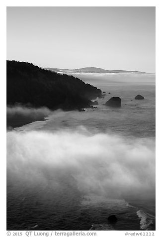 Costal clouds in early morning, Klamath River Overlook. Redwood National Park (black and white)