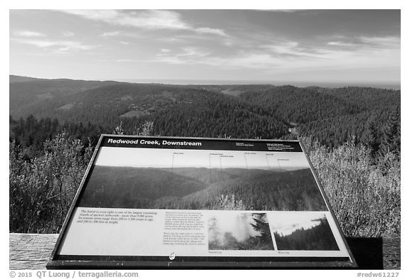 Redwood Creek interpretive sign. Redwood National Park (black and white)