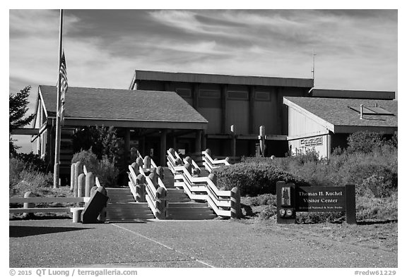 Kuchel Visitor Center. Redwood National Park (black and white)