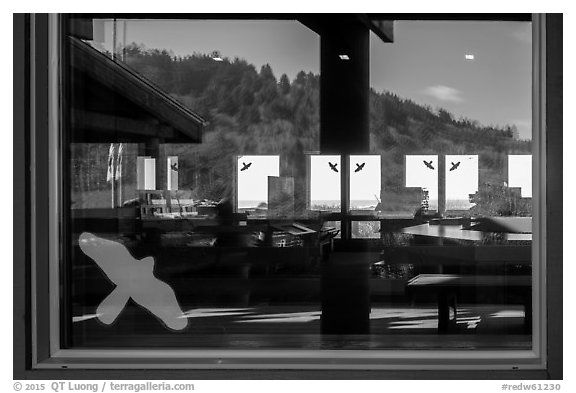 Hillside with trees, ocean,  Kuchel Visitor Center window reflexion. Redwood National Park (black and white)