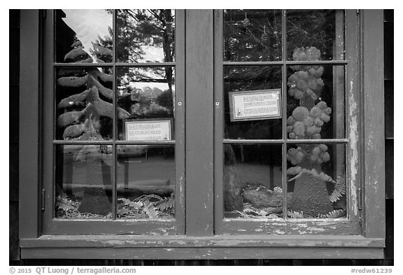 Prairie and forest, Prairie Creek Redwoods Visitor Center window reflexion. Redwood National Park (black and white)