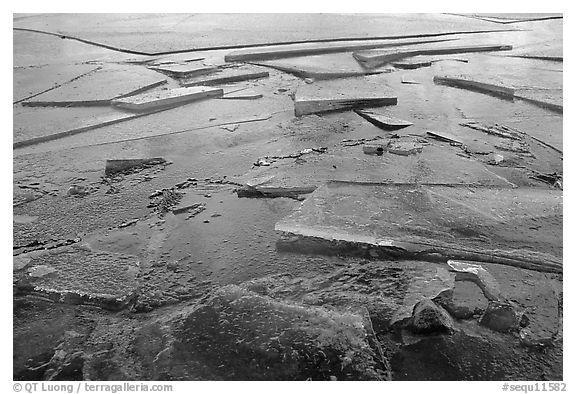 Ice on lake near Trail Camp, Inyo National Forest. California, USA