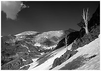 Bare trees above Mineral King, early summer. Sequoia National Park, California, USA. (black and white)