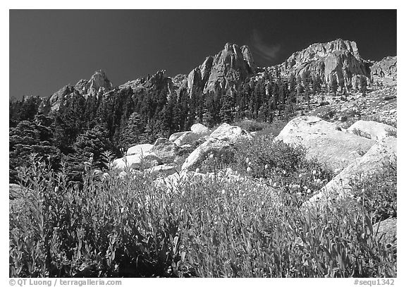 Alta Peak range. Sequoia National Park, California, USA.