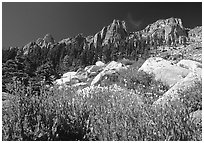 Alta Peak range. Sequoia National Park, California, USA. (black and white)