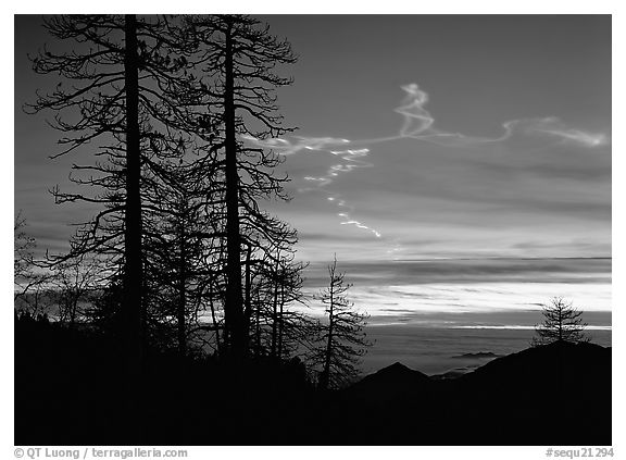 Sky trails at sunset. Sequoia National Park (black and white)