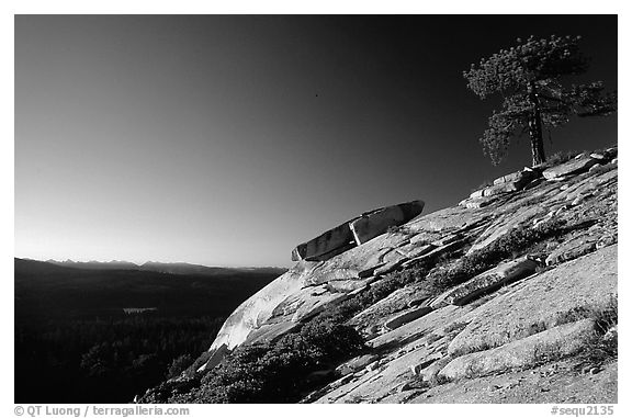 Granite Slab, sunrise. Sequoia National Park, California, USA.