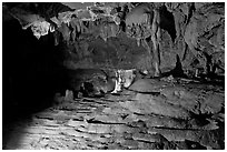 Polished marble and calcite stalactites, Crystal Cave. Sequoia National Park ( black and white)