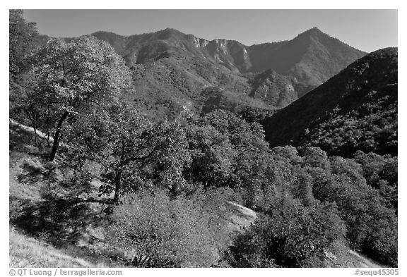 Sierra Nevada western foothills. Sequoia National Park, California, USA.