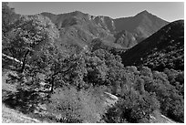 Sierra Nevada western foothills in summer. Sequoia National Park ( black and white)