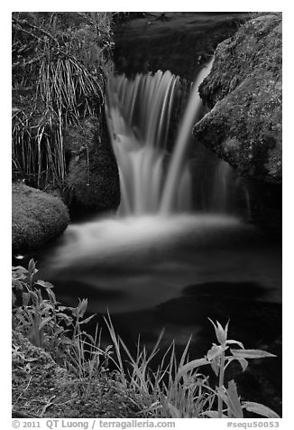 Stream cascade. Sequoia National Park, California, USA.