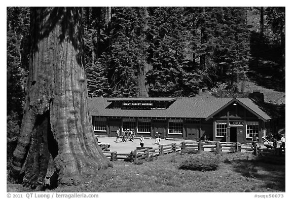 Giant Forest Museum. Sequoia National Park, California, USA.