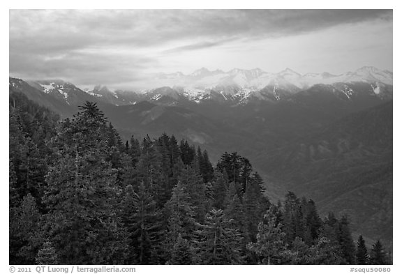 Forest and Great Western Divide at sunset. Sequoia National Park, California, USA.