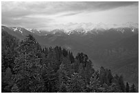 Forest and Great Western Divide at sunset. Sequoia National Park, California, USA. (black and white)